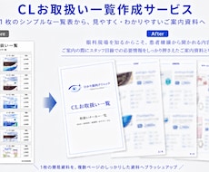 眼科専門の院内資料・料金表・説明資料を作成します イメージ1