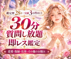 鑑定歴28年☆30分チャット鑑定占いし放題します 得意な霊視やタロットで心や悩みに寄り添い即レス鑑定いたします