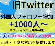 X・旧Twitterの外国人フォロワーを増加します X・旧Twitterのフォロワーの増加します