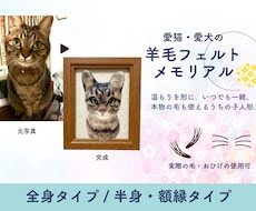 愛猫・愛犬のメモリアル羊毛フェルトを作ります 温もりを形に。いつでも一緒、本物の毛も使えるうちの子人形。