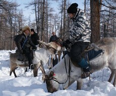 冬でも楽しめるモンゴル旅行、お教えします イメージ1