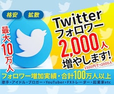 Twitterのフォロワー【2000人】増やします Twitter集客・フォロワー増やし・宣伝・拡散手伝います！