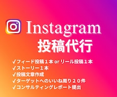Instagramの投稿代行します 丸投げで3日に1回投稿を実現！面倒な投稿を代行いたします！