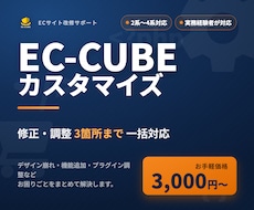 EC-CUBEのカスタマイズ・修正を承ります イメージ1