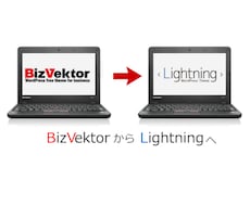 ビズベクトルからライトニングへテーマ載替えします イメージ1