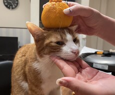 内緒話し聞きます イメージ1