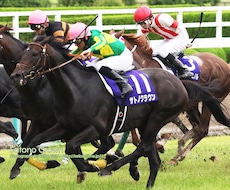 大井競馬・究極の馬券術教えます 競馬（大井競馬等）に興味のある人