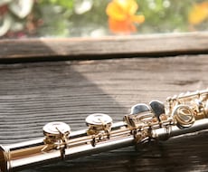 フルートの演奏音源、提供致します 相談頂ければ、その他もろもろ演奏致します。