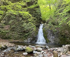 あなたの人生に光が差し込むように全力で向き合います イメージ1