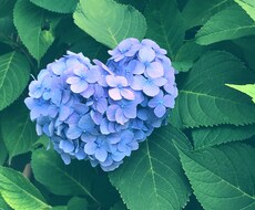 あなただけに密着して◎何でもお話お伺いします イメージ1