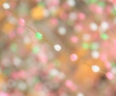 髪の毛のお悩み相談など幅広く対応させていただきます 普段のヘアケアから、美容室での困りごとなど。