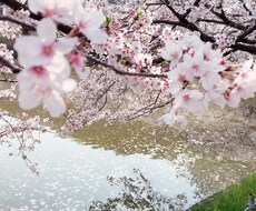 愚痴、世間話、話したい事をお書きします イメージ1