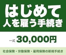 社労士が会社設立後の労務手続きを一式代行します イメージ1