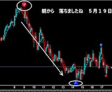 FXで専業（スキャルピング）デイレ－ドになります ゴ－ルド通貨以外でも大丈夫です期間限定でお安くしました