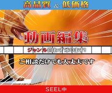 実績回収中！通常よりお安く編集を承ります イメージ1