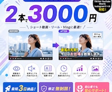 モニター価格中！字幕・テロップをつけます 動画だけ送ればOK！面倒な字幕・テロップはお任せください