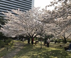 一人で抱え込んでるあなたへ、、、お話聴きます イメージ1