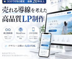 経験20年のプロが格安で高品質なLPを制作します 魅力を伝え、思わず買いたくなる！LP制作します
