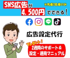 プロがSNS広告の新規運用代行いたします 有資格者が2週間サポートします。【設定・分析マニュアルつき】