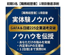 初期3名限定！職務経歴書の1項目を徹底添削します イメージ1