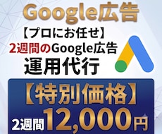 Google広告・リスティング2週間運用代行します 【特別価格】元Google公式コンサルが初期設定から運用代行
