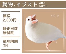 動物のイラストお描きします 小動物から爬虫類まで！どんな動物もリアルでやわらかい雰囲気に