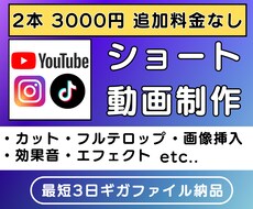 1分以内のショート動画の編集いたします 1本1500円でお任せ下さい！