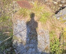 お墓についてお答え致します イメージ1