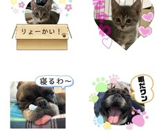 写真でオリジナルLINEスタンプ作ります イメージ1