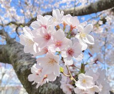 恋愛全般のお話・お惚気話聞きます イメージ1