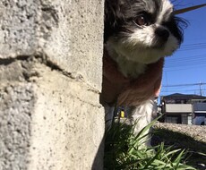 なんでもお話聞きます イメージ1