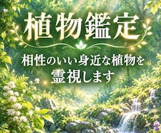 あなたに合う植物を霊視しお伝えします イメージ1