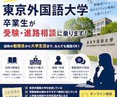 東京外国語大学卒業生が受験・進路相談に乗ります 地方出身の外語大卒がアドバイスします