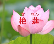 本格 四柱推命　情理を尽くす鑑定します 自分自身を知ることで未来が変わる