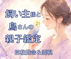 愛鳥さんとのご縁を四柱推命＆霊視で紐解きます 飼い主様と愛鳥さんの相性や関係性を詳しく鑑定します