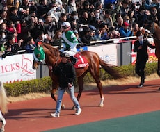 競馬の予想を提供します