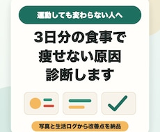 3日分の食事から痩せない原因を診断します 運動しても変わらない方向け｜写真と生活ログから改善点をお伝え