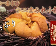 楽天・Amazon・ネットショップ画像作ります 装飾文字系のネットショップ用画像急ぎで作ります。