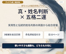 プレミアム版｜赤ちゃんの名前を真・姓名判断します イメージ1