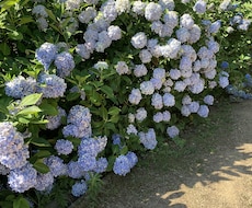 ハッとさせ、視野を広げるお手伝いをします イメージ1