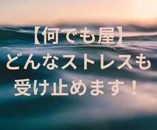 何でも屋！ストレス受け止めます イメージ1