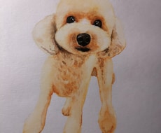 色々な画材でで人物や動物を描きます イメージ1