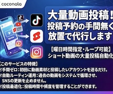 大量動画投稿！投稿予約の手間無く放置で代行します イメージ1