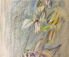 お洒落な絵をお探しの方に提供します イメージ1
