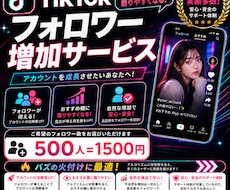 TikTokフォロワー500人増やします イメージ1