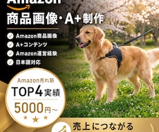 売れるAmazon商品画像を制作しますます イメージ1