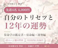 自分のトリセツと12年の運勢を算命学で作ります イメージ1