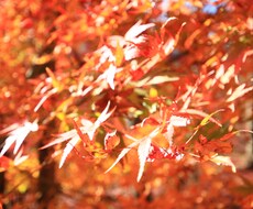 悩み相談承ります イメージ1