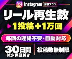 インスタリール再生数【30日間】まとめて増やします イメージ1