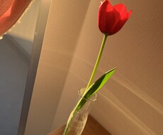 うつ病、パニック障害で悩んでいる方心を軽くします イメージ1